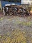 Fire wood Carousel 3