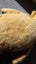 Old Sooty Mohair Teddy Bear Carousel 5