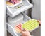 Kitchen Freezer Ice Cube Storage Box Tray with Lid - White Carousel 5