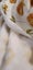 NEW FABRIC CLEAROUT - (#3) LION SAFARI FRENCH FLEECE FABRIC $1 Reserve Carousel 3