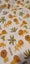 NEW FABRIC CLEAROUT - (#3) LION SAFARI FRENCH FLEECE FABRIC $1 Reserve Carousel 4