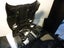 Limited Edition 1996 CHEVROLET CORVETTE scale 1:24 : Black : DANBURY MINT Carousel 7