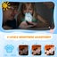 2inch IPS Digital Microscope 1000X Handheld Microscope For Kids With 8 Leds Carousel 6