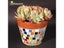 200g/68pcs 20X20mm 2CM 3/4 Inch Quartz Mosaic Loose Mosaic Hobbies DIY Material Carousel 6