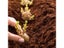10/5Pcs Compressed Coco Coir Fiber Potting Soil- Coir Medium Coconut Soil Coir Carousel 8