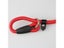 Dog Leash Dog Lead Carousel 8