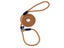 Dog Leash Dog Lead Carousel 1