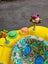 Exersaucer for baby Carousel 4