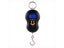Electronic Portable Gourd Scale With Backlight For Purchasing Vegetables Carousel 1