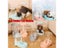 3.8L PP Material Pet Feeder Pet Water Fountain Drink Bowl Automatic Pet Feeder Carousel 3