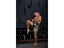 Muay Thai Shorts Carousel 5