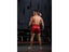 Muay Thai Shorts Carousel 9