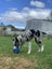 Meet Luna - Your New Best Friend Carousel 3