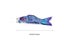 Japanese Carp Windsock Weather-resistant Cartoon Dragon Boat Carp Windsock Carousel 8