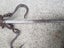 Antique balance beam farmyard butchers scales Carousel 3