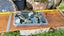 Greenstone Carousel 10