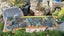 Greenstone Carousel 6