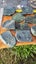 Greenstone Carousel 18