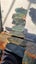 Greenstone Carousel 11