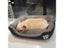 Cat Bed Carousel 7