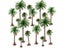 Height 6-15cm Coconut Palm Tree Model DIY Park Rainforest Train Railroad Carousel 1