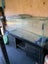 Large Glass aquarium Carousel 1