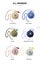 Popmart Labubu Bucket Hat Mini Bag Blind Box Carousel 3