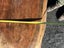 Large Solid Totara Wood Slab – Rare NZ Native Timber Carousel 14