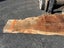 Large Solid Totara Wood Slab – Rare NZ Native Timber Carousel 10