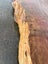 Large Solid Totara Wood Slab – Rare NZ Native Timber Carousel 19