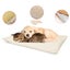 PTN NEW Large Pet Heating Pad Sale Sale Carousel 6