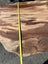 Solid Rata Slab –184x150 cm Rare NZ Native Hardwood Carousel 9