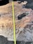 Solid Red Beech Stump Slab – 198 × 108 × 5.5 cm Carousel 5