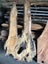 Solid Red Beech Stump Slab – 198 × 108 × 5.5 cm Carousel 9