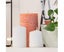 Plant Watering Devices 6 Pack Terracotta Vacation Plant Waterer Wine Bottle W Carousel 3