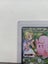 Pokemon Journey Together Lillie’s Clefairy Special Illustration Rare 184/159 Carousel 8