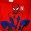 Marvel Boys Spider-Man 2 Piece Clothing Set SIZE - 2 Carousel 3