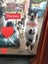 Mackey & Mindy affectionate cats need forever home Carousel 1