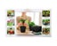 Plastic Plant Flower Pots Nursery Seedlings Garden Plant Pot Container 100PCS Carousel 5