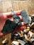 Pounamu greenstone bits and bobs offcuts and more 2 kgs $1 reserve Carousel 6