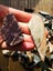 Pounamu greenstone bits and bobs offcuts and more 2 kgs $1 reserve Carousel 7