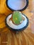 Victorian 9ct Gold Ponamu Green stone Ring 3.37gm Carousel 11