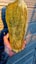 Greenstone slab Carousel 6