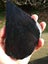 $1 reserve Pounamu Greenstone carving slab Tile Carousel 5
