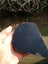 $1 reserve Pounamu Greenstone carving slab Tile Carousel 4