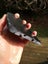 $1 reserve Pounamu Greenstone carving slab Tile Carousel 6