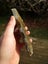 $1 reserve Pounamu Greenstone carving slab Tile Carousel 4