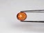 $1 RES * Buy Now $1,450.00 * 0.73ct Oval VVS Orange SAPPHIRE Gemstone Loose Carousel 10