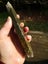 $1 reserve Pounamu Greenstone carving slab Tile Carousel 4