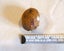 JEWELLERS MUSEUM CARVED WALNUT WOOD OJIME BEAD SIGNED & SET WITH PEARLS & GARNET Carousel 10